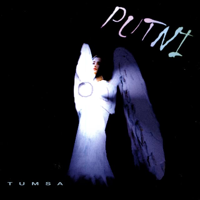 Album cover art for Putni