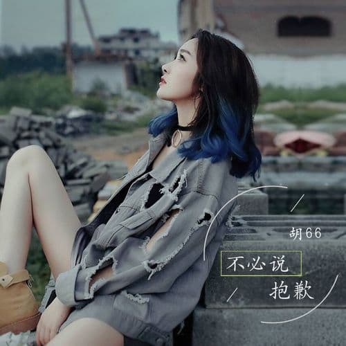 Album cover art for 不必说抱歉