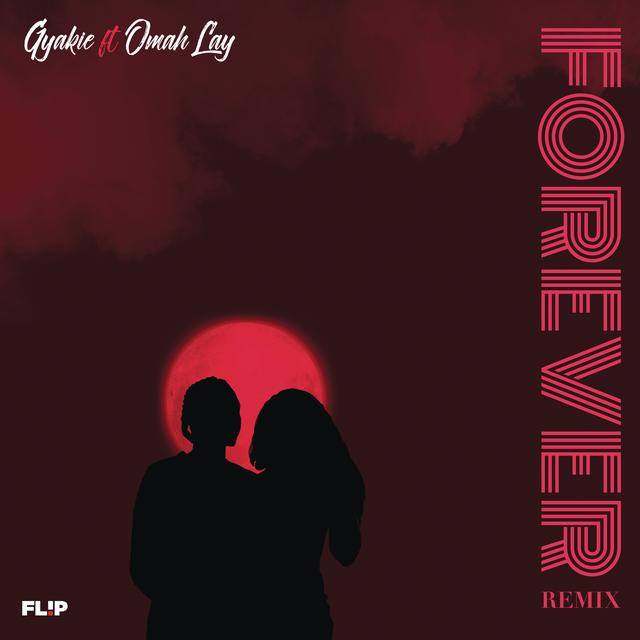 Album cover art for Forever (Remix)