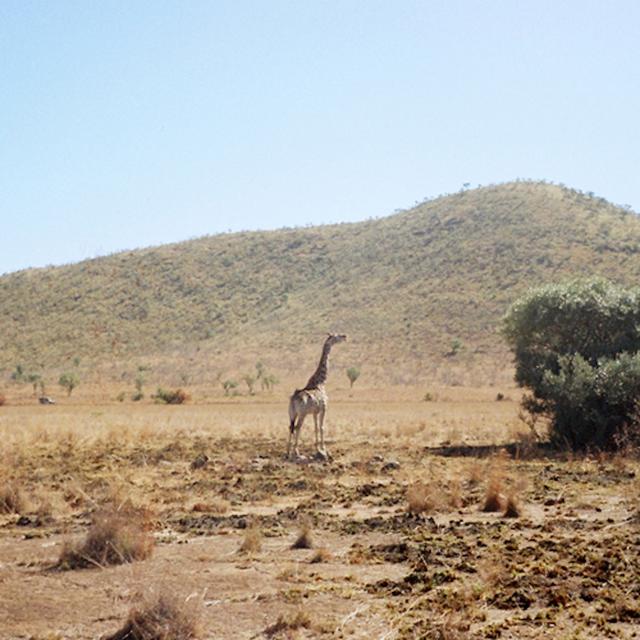 Album cover art for 우리는 선처럼 가만히 누워