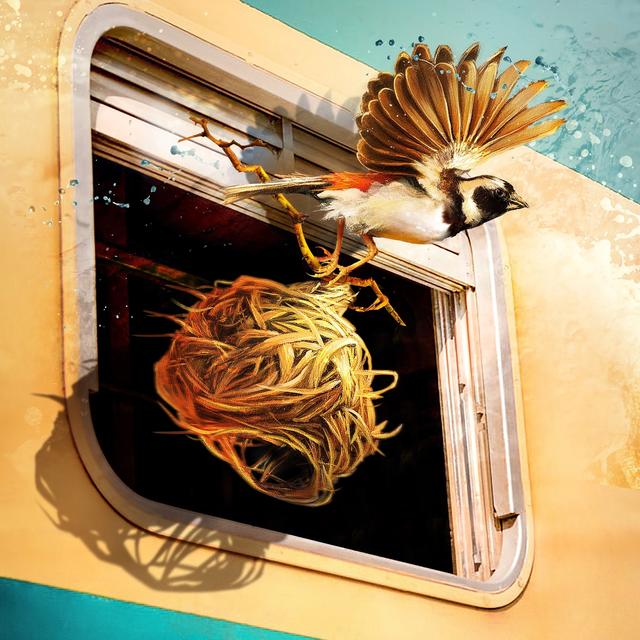 Album cover art for See