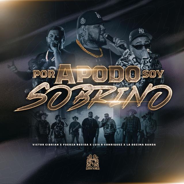 Album cover art for Por Apodo Soy Sobrino (En Vivo)