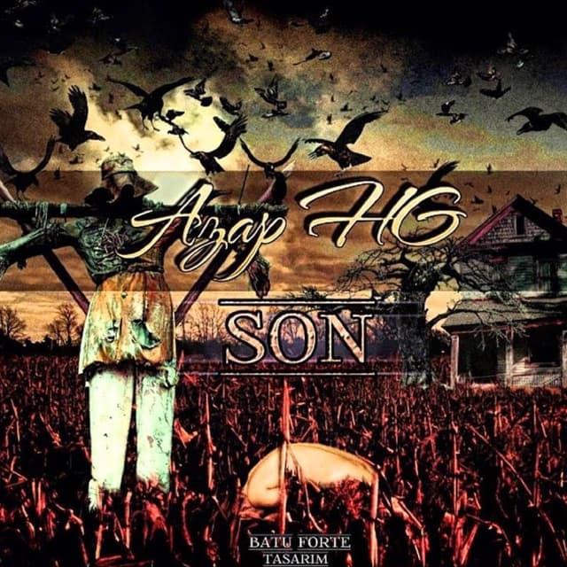 Album cover art for Son