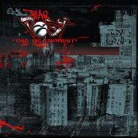 Album cover art for Tha Blaqprint