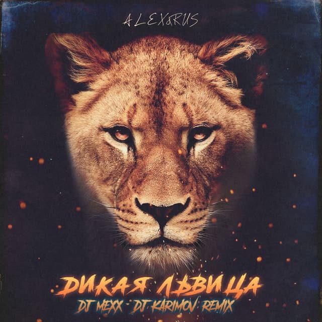 Album cover art for Дикая львица