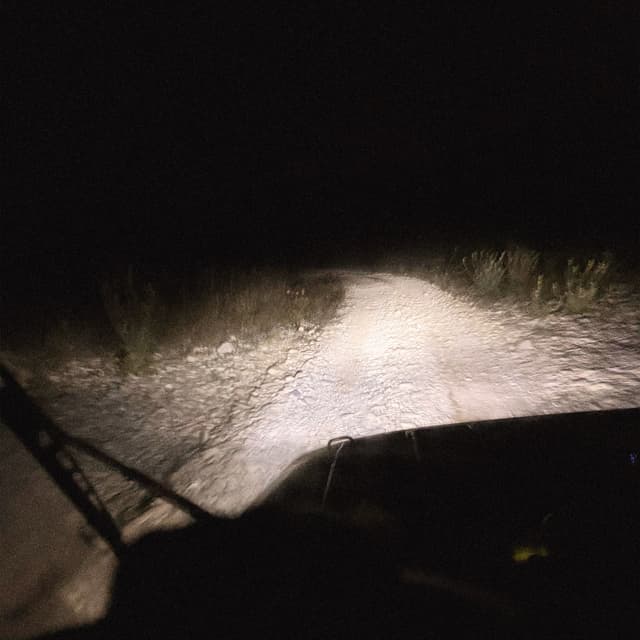 Album cover art for спорт