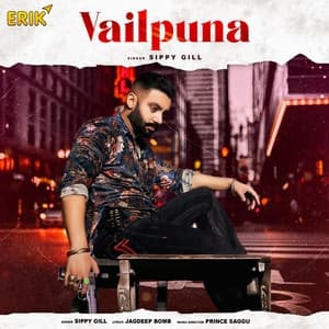 Album cover art for Vailpuna