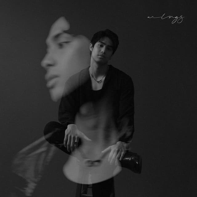 Album cover art for Wings