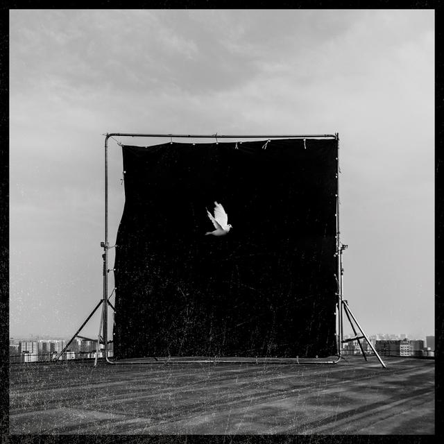 Album cover art for Where Are You Going