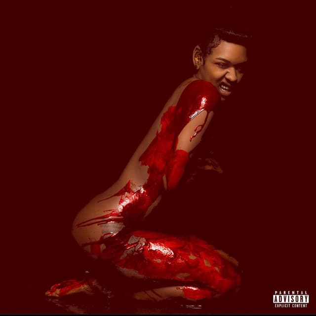 Album cover art for Chocolate City 2