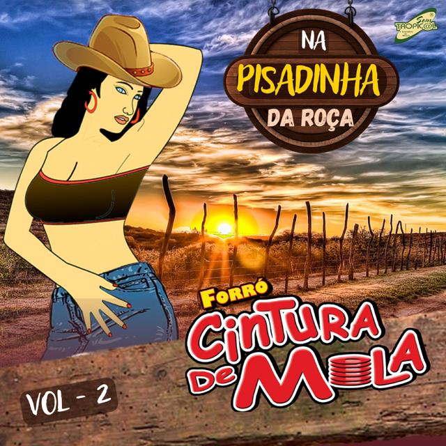 Album cover art for Na Pisadinha da Roça Vol,2