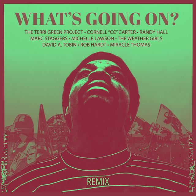 Album cover art for Whats Going On [Frank Blythe Remix]