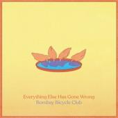 Album cover art for Everything Else Has Gone Wrong