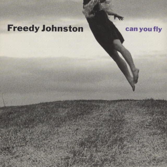 Album cover art for Can You Fly