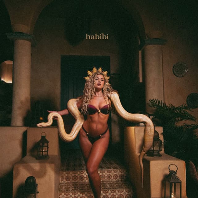 Album cover art for Habibi