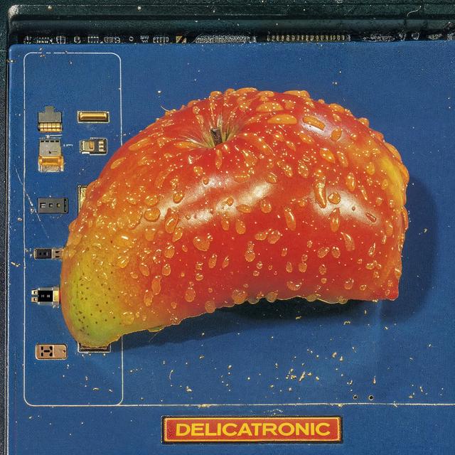 Album cover art for Delicatronic