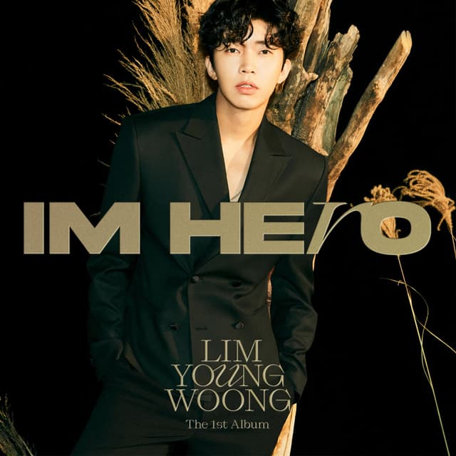 Album cover art for IM HERO