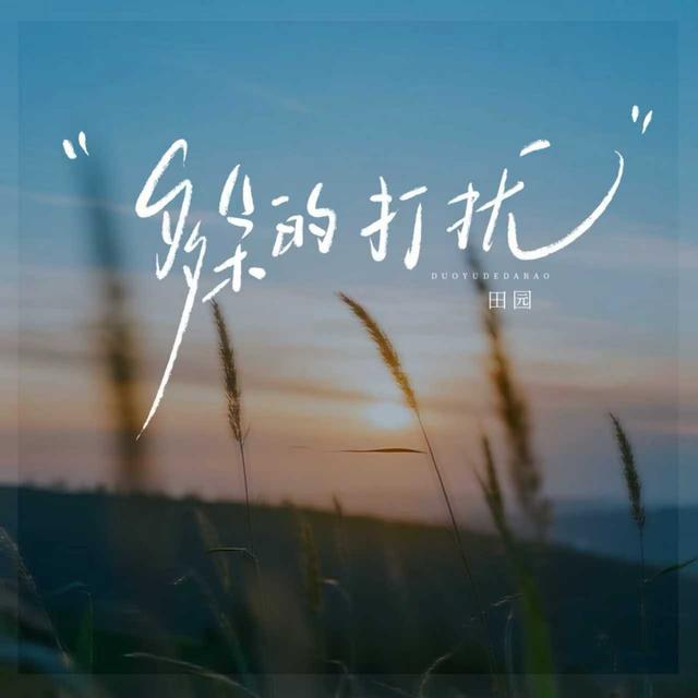Album cover art for 多余的打扰
