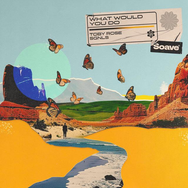 Album cover art for What Would You Do