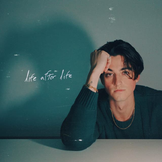 Album cover art for life after life