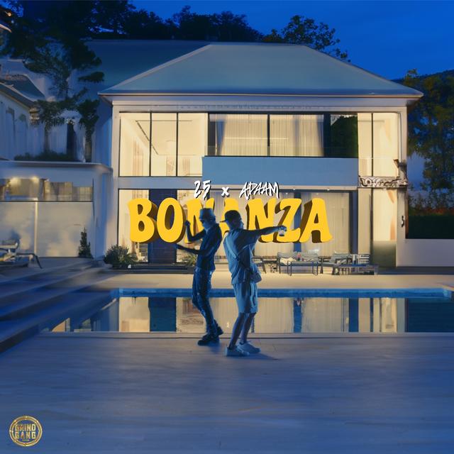 Album cover art for BONANZA