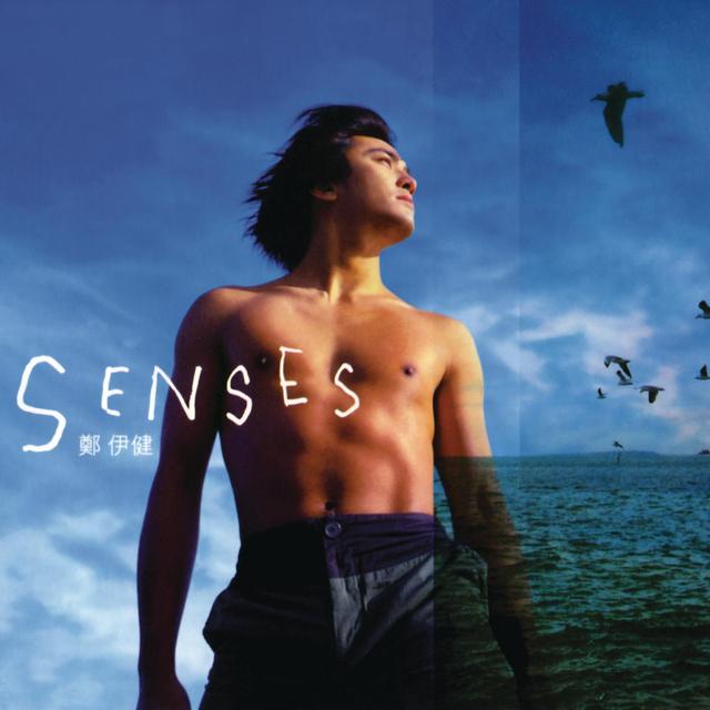 Album cover art for Senses