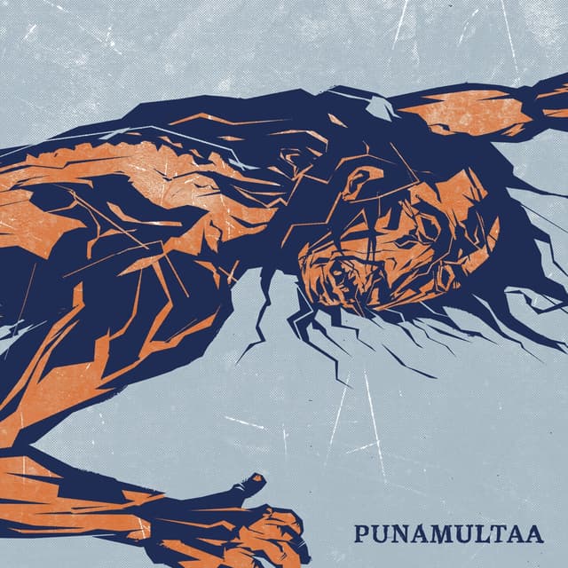 Album cover art for Punamultaa