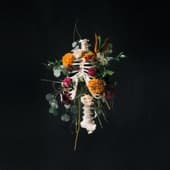 Album cover art for Graves into Gardens