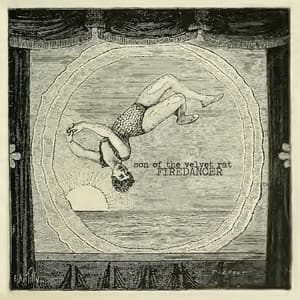 Album cover art for Firedancer