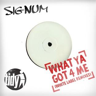 Album cover art for What Ya Got 4 Me (white Label Remixes)