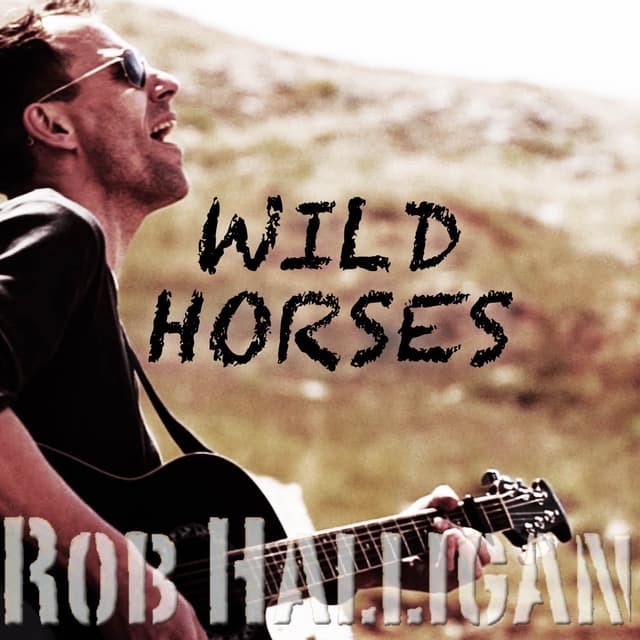 Album cover art for Wild Horses