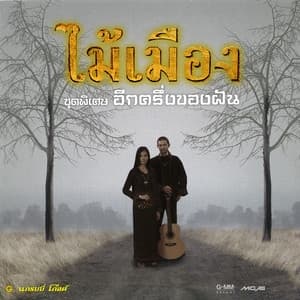 Album cover art for ชุดพิเศษ อีกครึ่งของฝัน