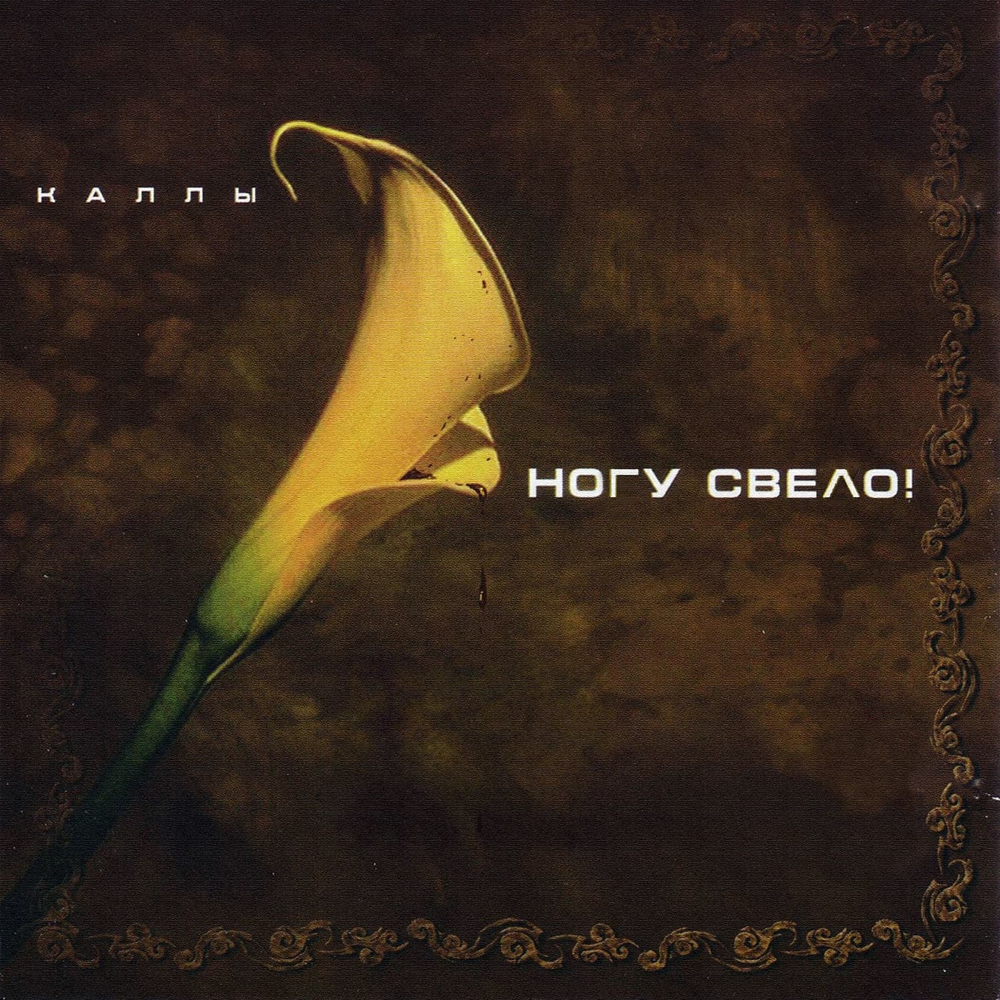 Lyric cover art