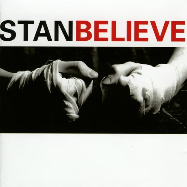Album cover art for Believe