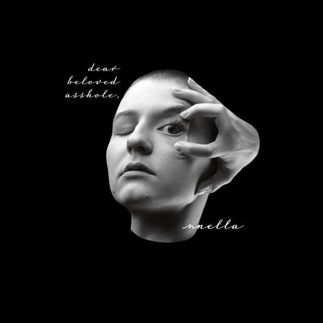 Album cover art for Dear Beloved Asshole,