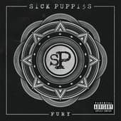 Album cover art for Fury
