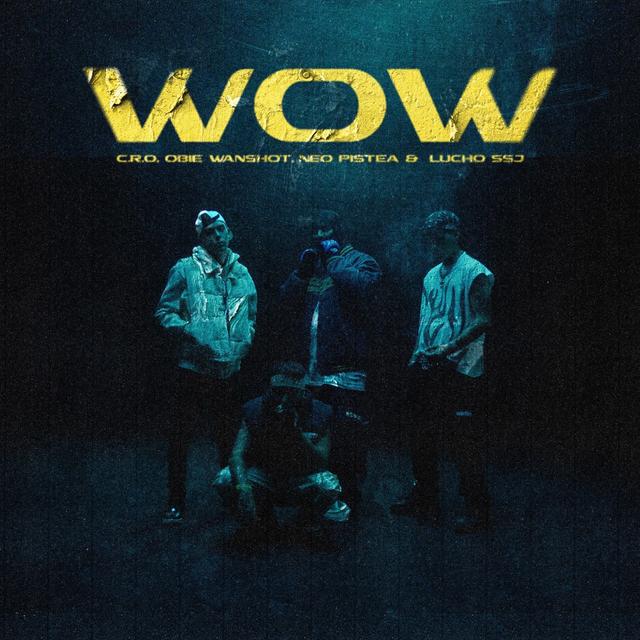 Album cover art for WOW