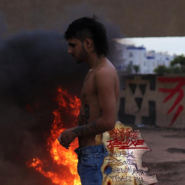 Album cover art for Euphorie