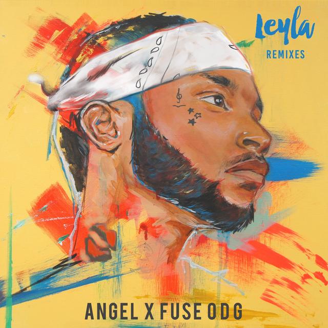 Album cover art for Leyla