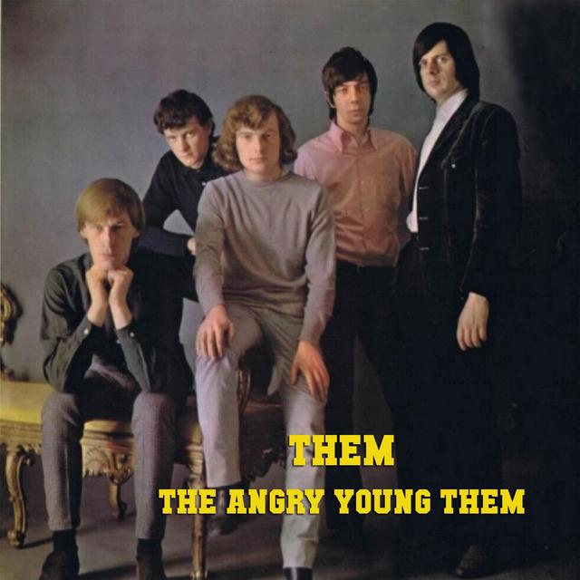 Album cover art for The Angry Young Them