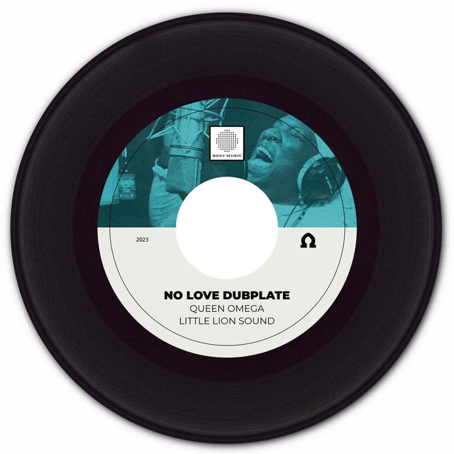 Album cover art for No Love Dubplate - Single