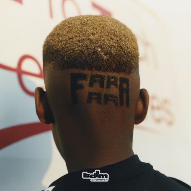 Album cover art for FARA FARA GANG