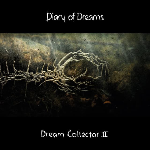 Album cover art for Dream Collector II