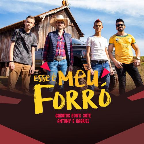 Album cover art for Esse É Meu Forró