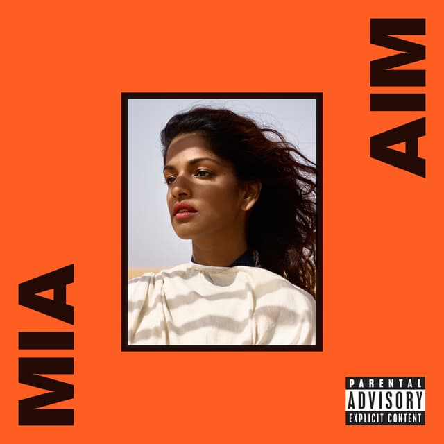 Album cover art for AIM