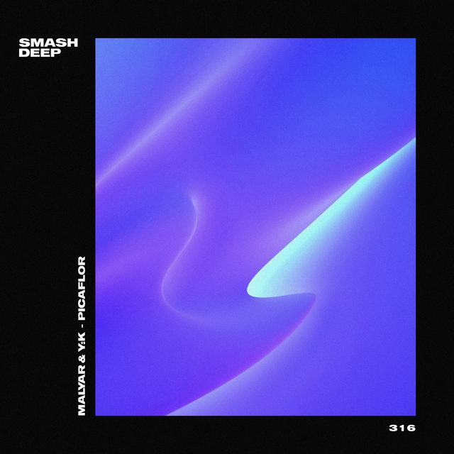 Album cover art for Picaflor - Single