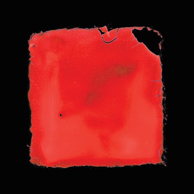 Album cover art for last chance to see