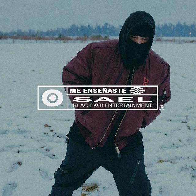 Album cover art for Me Enseñaste