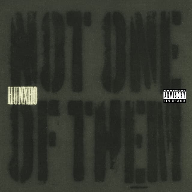 Album cover art for Not One Of Them