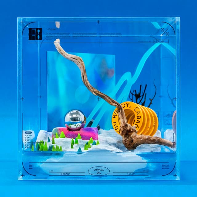 Album cover art for Sak